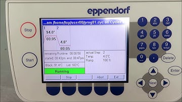 Eppendorf Mastercycler EP Gradient 96 well Thermal Cycler