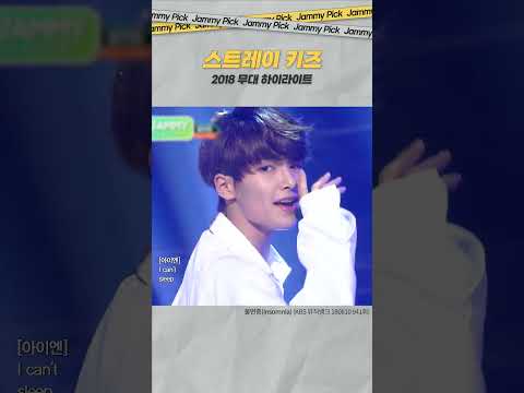 ⚡𝐒𝐓𝐀𝐘는 모두 주목-! 아직 아기 그 자체 스키즈 모음👶 | 재미 PICK | KBS 방송