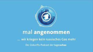 Kein russisches Gas mehr? Was dann?