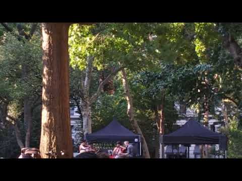Madison Square Park Concert - Attacca Quartet