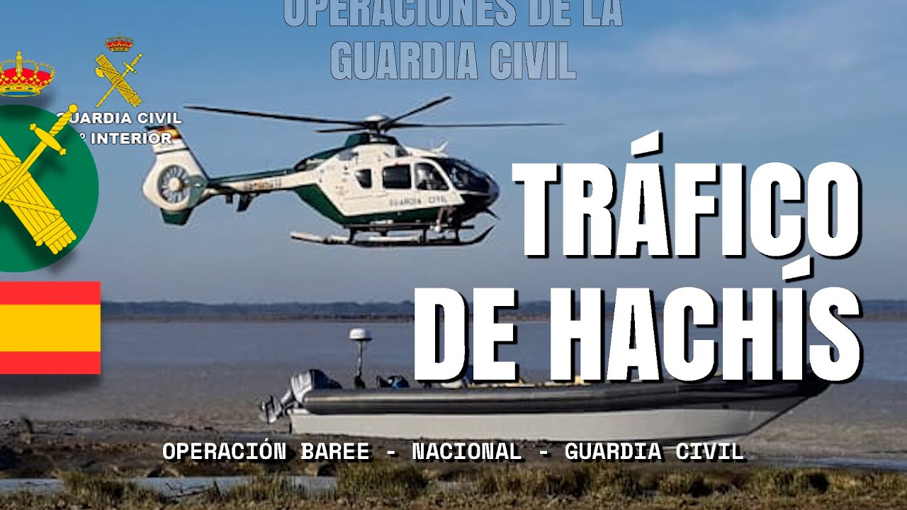 Desmantelada una organización dedicada al tráfico de hachís con 49 personas detenidas