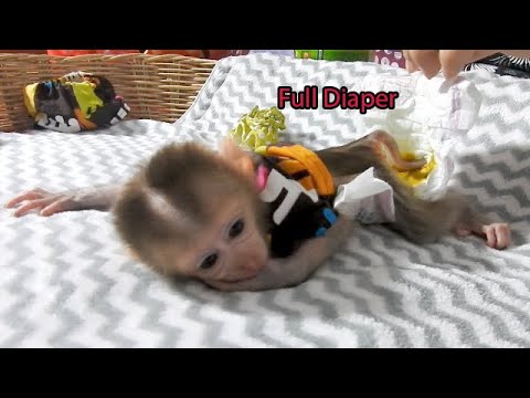OMG!! Poop All Over Diaper , So Mom Thoroughly Clean Baby Monkey Dody