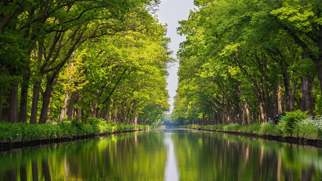 ВОССТАНОВЛЕНИЕ НЕРВНОЙ СИСТЕМЫ 🌿 Нежная музыка, успокаивает нервную систему и радует душу #6