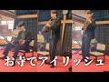 お寺でアイリッシュ演奏｜和×ケルトの音楽空間｜コンサーティーナ・ティンホイッスル・マンドリン・笙