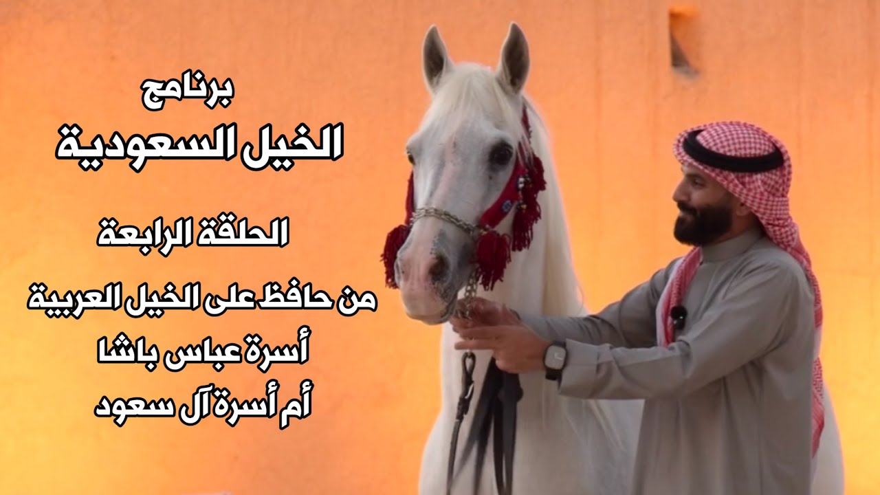 برنامج الخيل السعودية | الحلقة الرابعة |  من حافظ على الخيل العربية أسرة عباس باشا ام اسرة آل سعود 