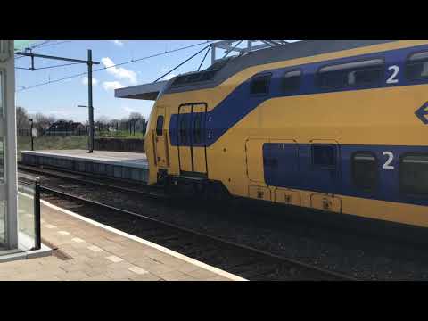 Bussen en Treinen in Middelburg