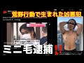 【速報】ミニ毛逮捕💪
