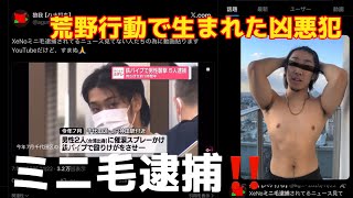 【速報】ミニ毛逮捕