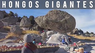 😍 Deberías Visitar El Valle de los HONGOS GIGANTES • CREEL Chihuahua