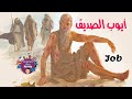 قصة أيوب الصديق بالعامية المصرية قصص الأنبياء 