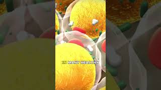 Bet you don't know what egg intake does to your body, see this video and know now. #health #kids
