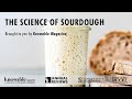 The Science of Sourdough