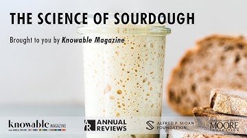 The Science of Sourdough