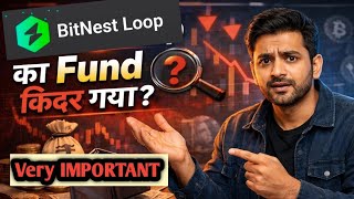 Bitnest Loop Fund Important Setting