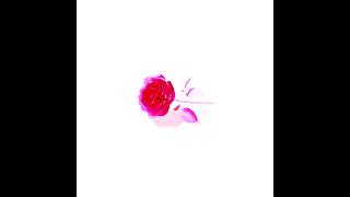 Ocean Starr [Glass Rose]