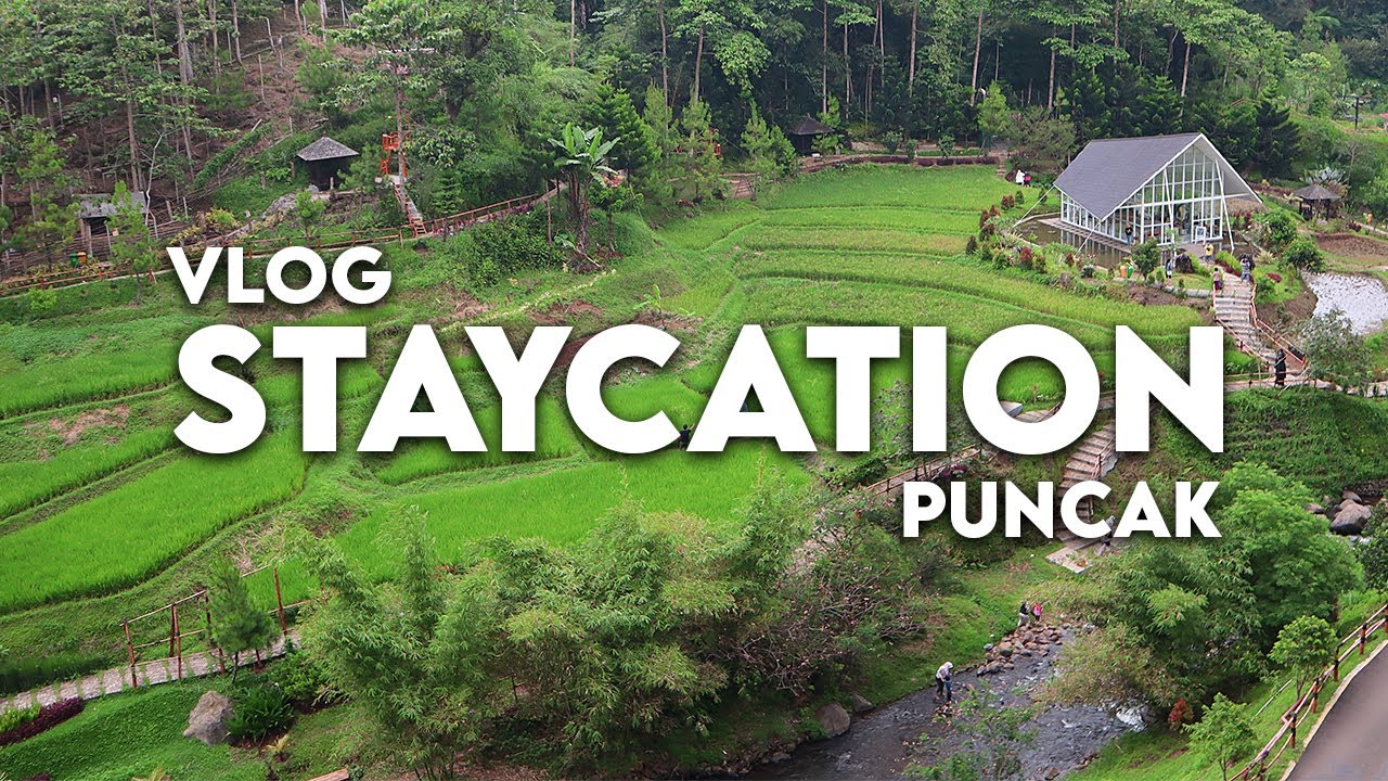 Vlog Staycation Puncak - Bogor / Awi Willyanto