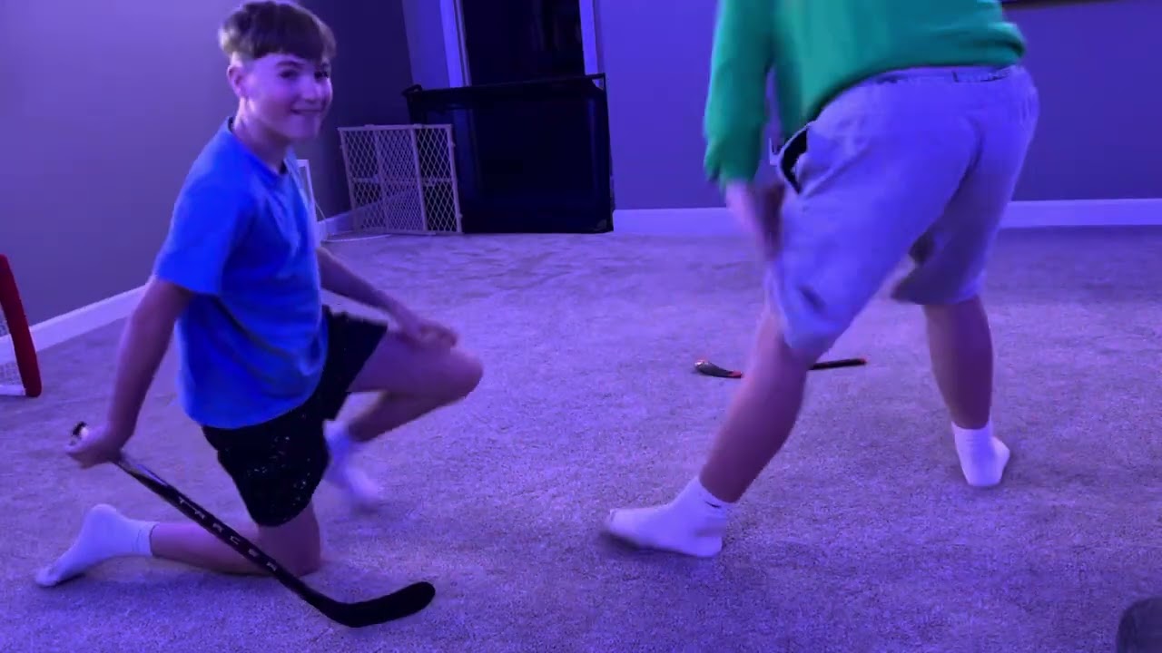 Vegas Golden Knights vs Toronto Maple leafs. Sorry for the recording skills they lowkey suck 