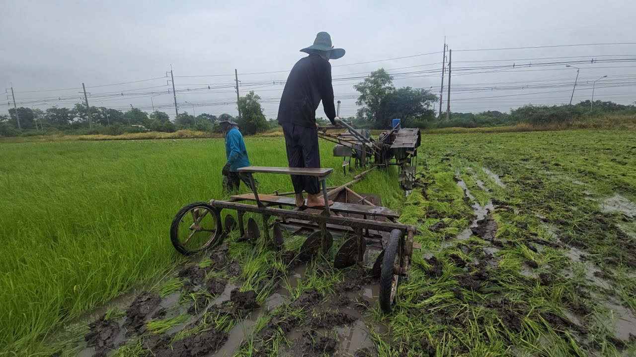 รถไถนาผาน6ใบ ไถเองประหยัดต้นทุน ทำนา 3 กรกฎาคม 2025