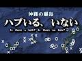【沖縄の離島】「1島おき」の伝説は嘘？ハブの生息分布図を最新調査で塗り替える