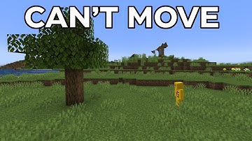Is it Possible to Beat Minecraft Without Moving?