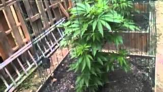 OMMP outdoor update 2014 june 16th