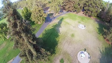 Littlebee 30amp Blheli_S Test