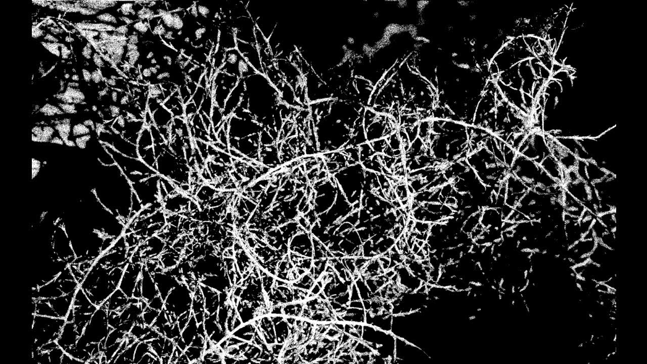 JD Harrington - Libation to Hecate [ENMX-03]