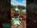 #ディズニーワールド #フロリダ州 窓からの景色 #shorts #Orlando #florida