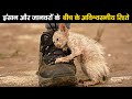 इंसानों और जानवरों के बीच ऐसे रिश्ते आपने कभी नहीं देखें होंगे! | Incredible Human Animal Relations