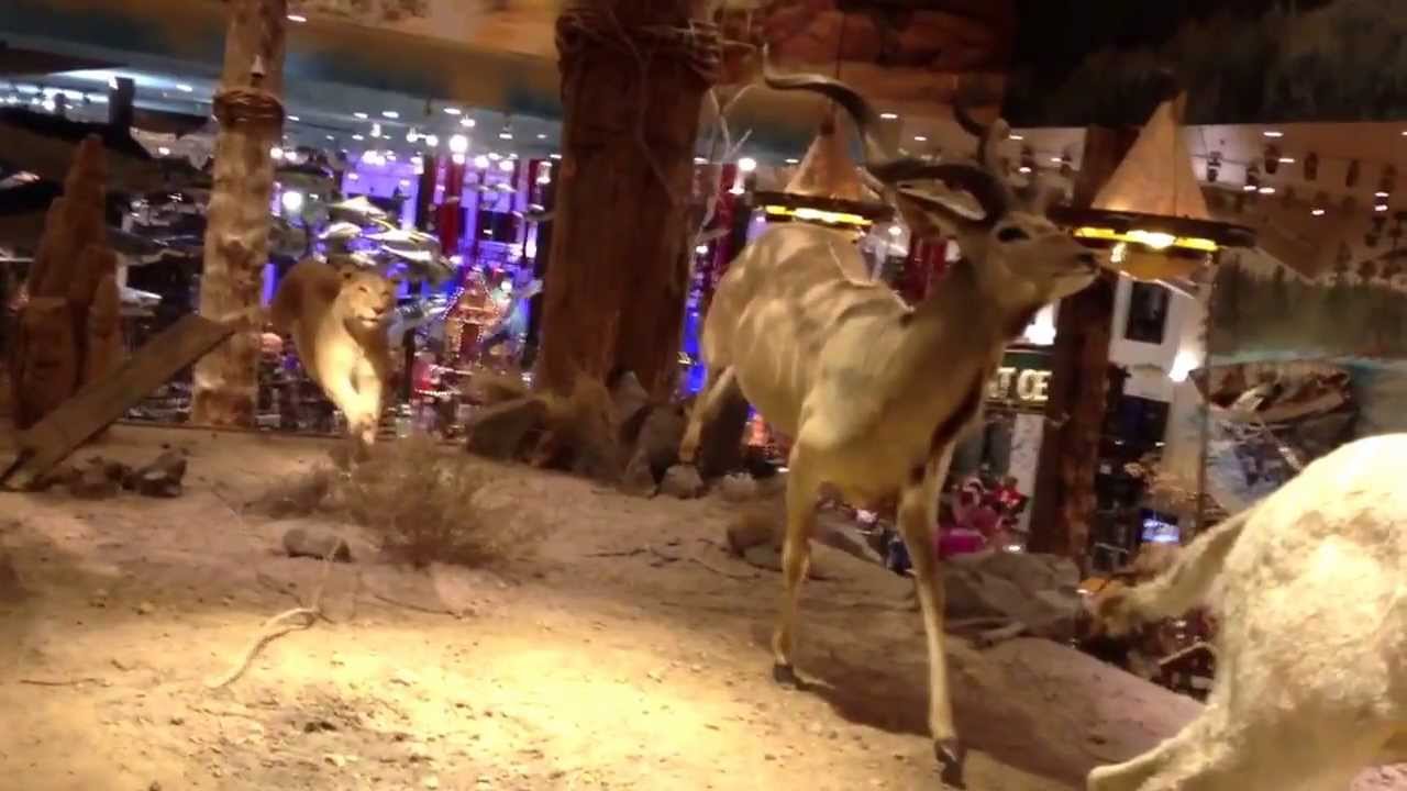 Bass pro Shop Las Vegas! YouTube