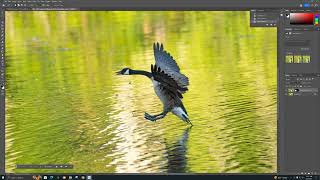 Up and coming A.I. features in Photoshop.