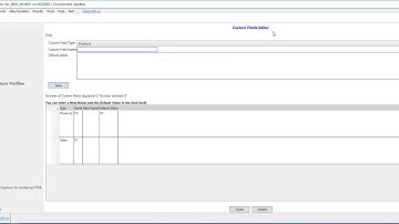 How to Create and Use Custom Fields in Wonder Lister