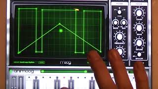 Animoog synth by Moog  EPIC SOUNDTEST REVIEW of this iOS app
