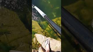 ClearVac Pond Video - Dissatisfied