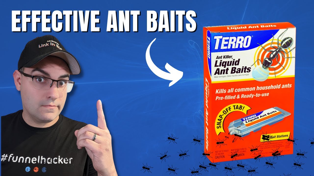 Terro Liquid Ant Bait YouTube