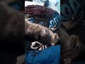 cute 😍😘🙂 VID 20250823 081333