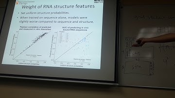 Deep learning for protein RNA interactions - 2, Yaron Orenstein