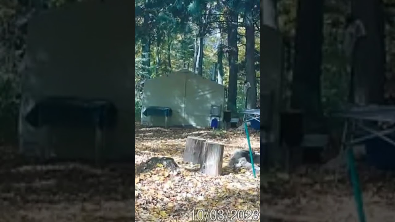 The peacefulness of the  