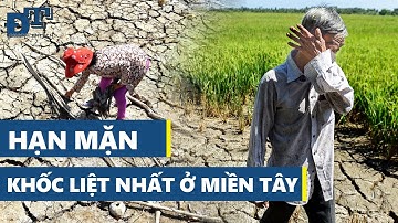 🔴 Hạn mặn khốc liệt nhất ở Miền Tây