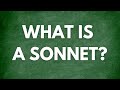 What is a sonnet?