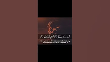 { أَرَأَيْتَ إِن كَانَ عَلَى الْهُدَىٰ (11) أَوْ أَمَرَ بِالتَّقْوَىٰ } - القارئ محمد صديق المنشاوي