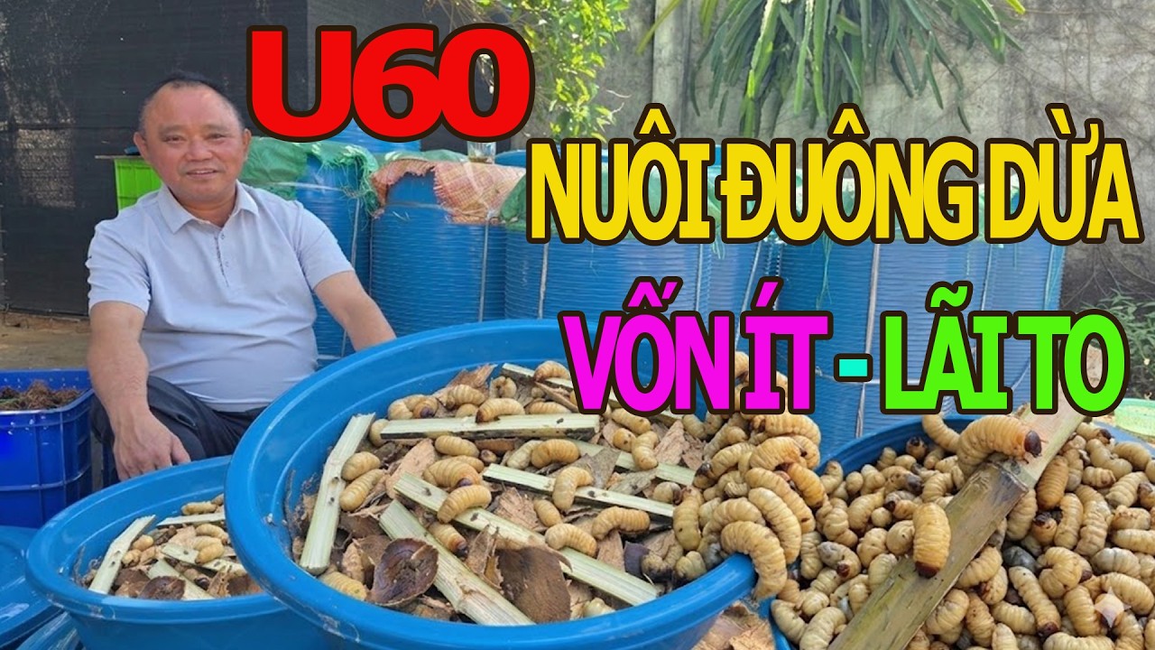 U60 Nuôi Đuông Dừa Vốn Ít - Ít Rủi Ro - 30 Ngày Được Thu Lợi Nhuận / Bao Tiêu Đầu Ra , Đầu Vào