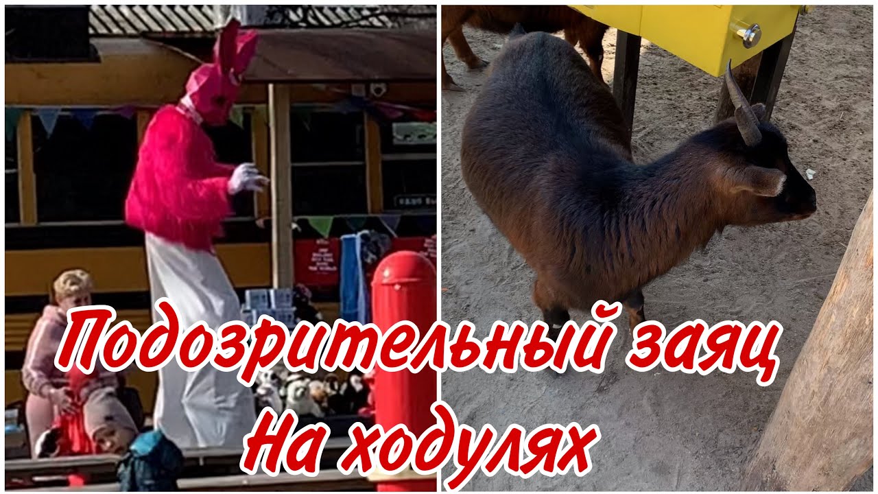 Южный парк птиц Малинки / Семейный отдых - Влог / Красиво, но холодно