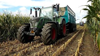 Ensilage de maïs 2020 🌽🚜