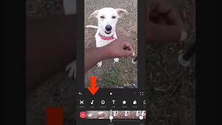InShot - How to Make Talking Lips Funny Video in Tamil | How to Create Mouth Talking video in Tamil screenshot 4