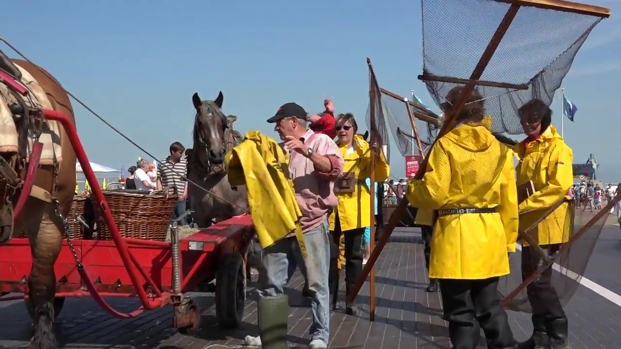 Garnaalvissers Oostduinkerken
