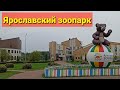 Ярославский зоопарк