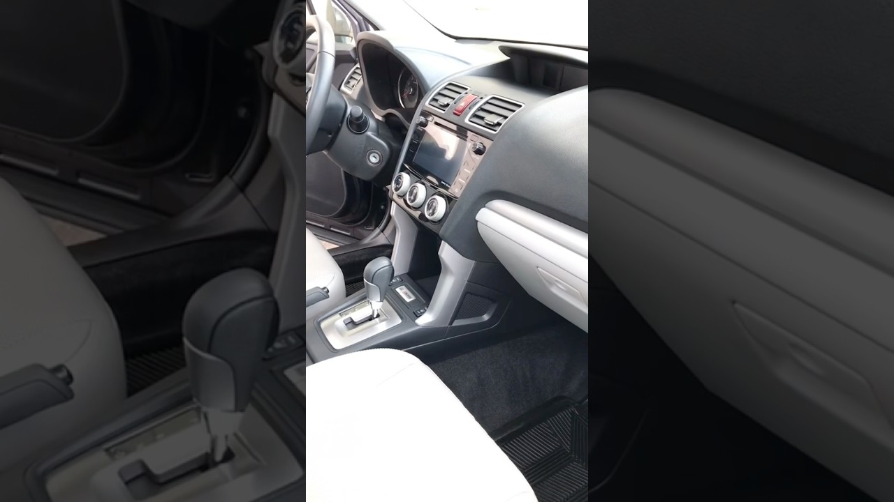 So Much Dog Hair! 🐶 