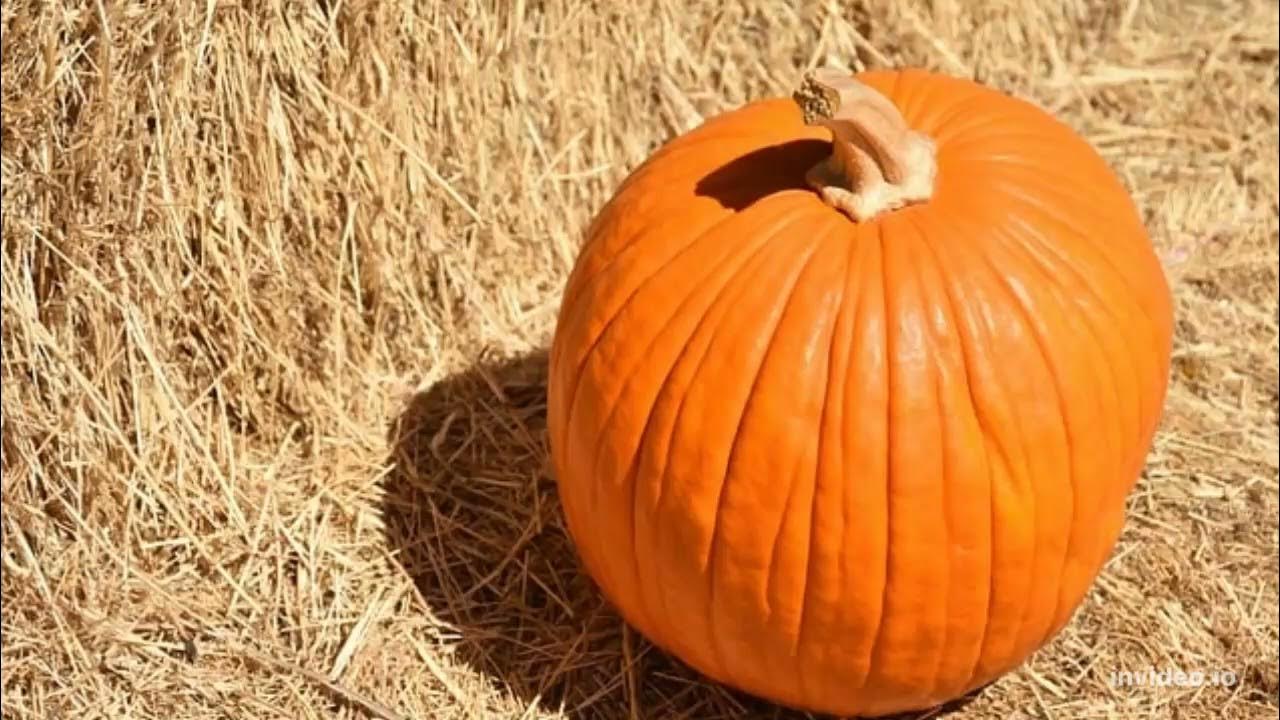 more november music YouTube