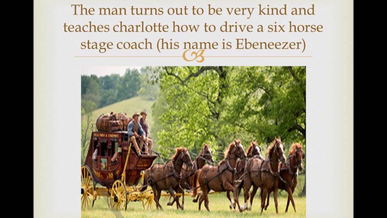 Riding Freedom Book Trailer By Alexander Haidi YouTube